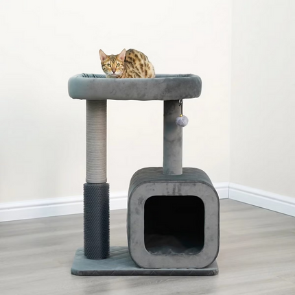Eclipse Árbol para Gatos