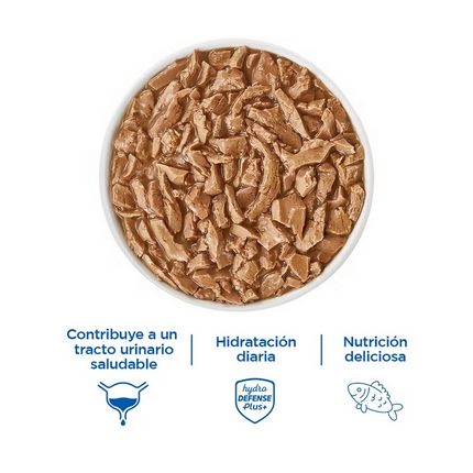 Cat Chow Alimento Húmedo para Gatos Sabor Pescado 24 pzas 85 g
